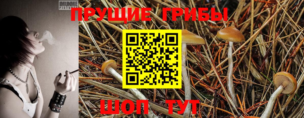 Фурманов  Псилоцибиновые грибы GOLDEN TEACHER  Вход с VPN 
